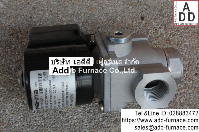 Brahma Type EG12*SR*GMO (11)